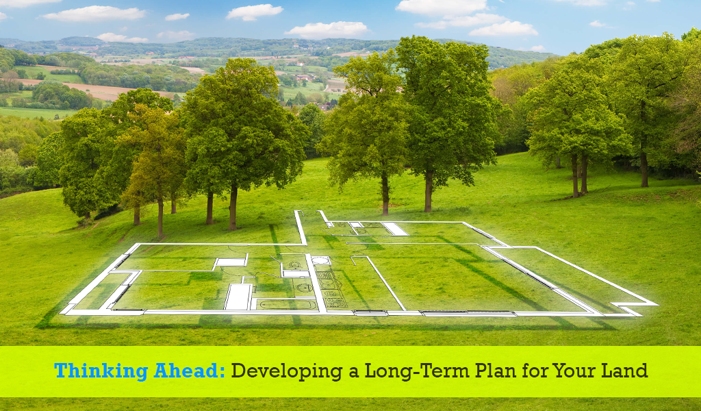 Thinking Ahead- Developing a Long-Term Plan for Your Land