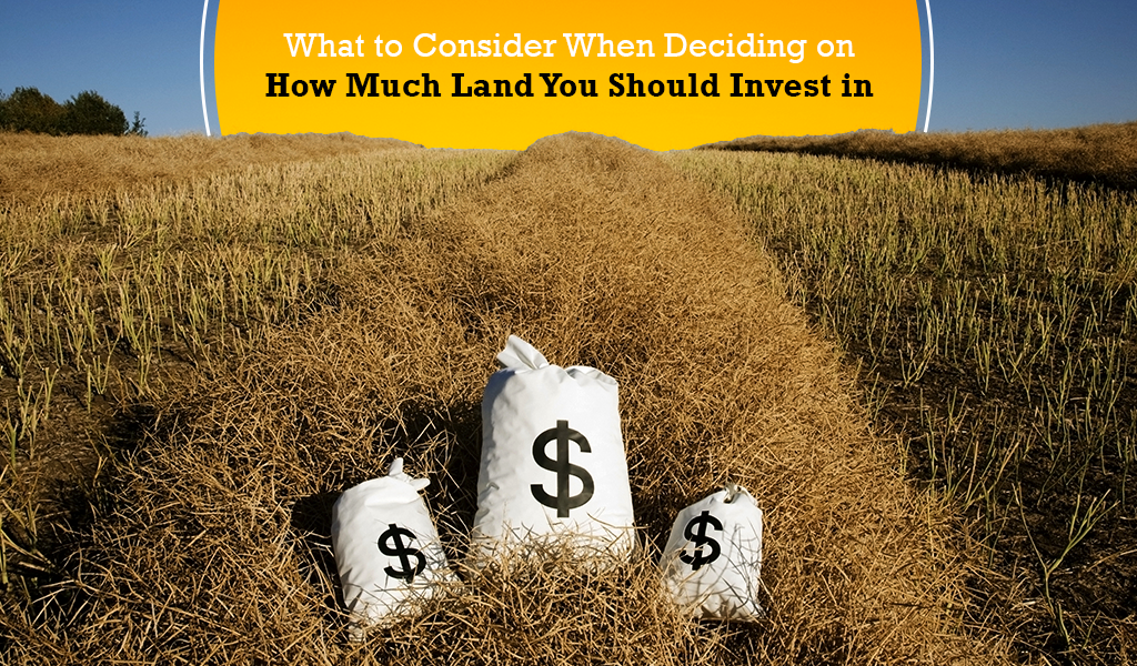What to Consider When Deciding on How Much Land You Should Invest in