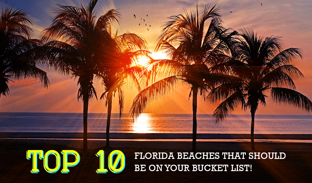 Top 10 Florida Beaches That Should Be on Your Bucket List!