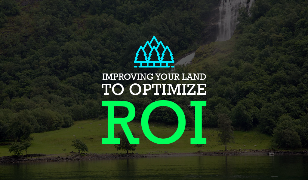 Improving Your Land to Optimize ROI
