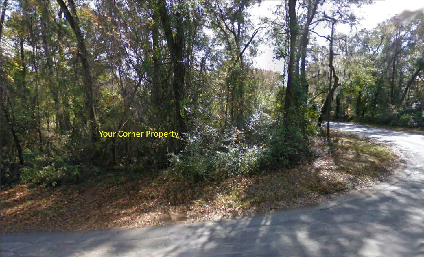 .23 Acre Unique Residential Side by Side Corner Lot at Citra