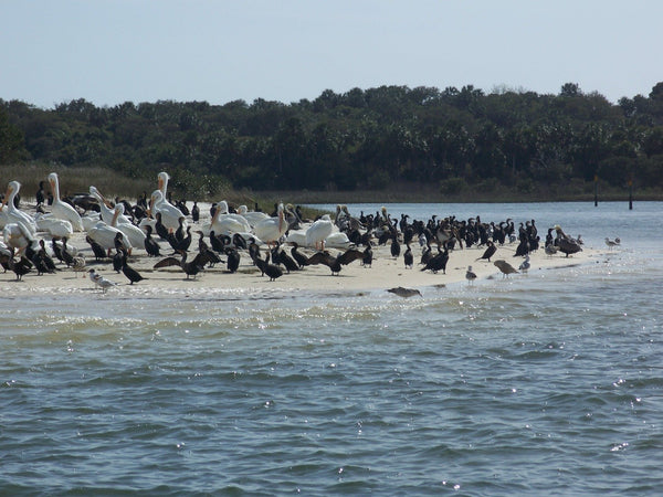 Rare .23 Acre Exclusive Vacant Lot Near Williston Airport-Fit to Build Now