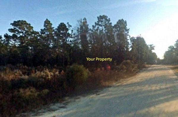 .96 acre lot Close To HWY 41 at Classic Hills-Minutes to Rainbow River