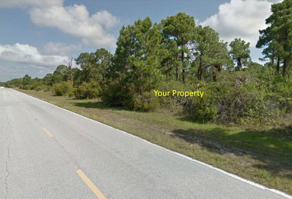 Exclusive .23 Acre lot on Paved Road close to Myakka River