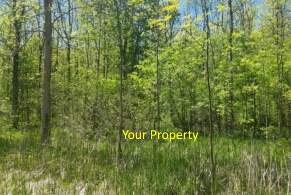 Chance of Great Investment! 1.06 Acre Prime American Land