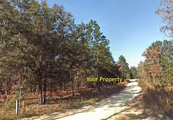 1.19 acre lot Close To HWY40 and 41-Minutes to Rainbow Springs State Park