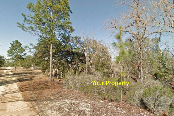 Invest or Build! Huge 1.70 Acre Compass Lakes Hills Lot-Owner Finance