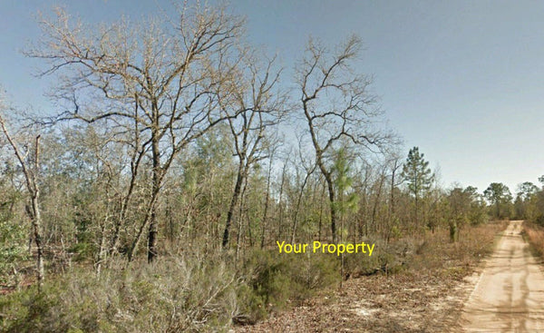 Invest or Build! Huge 1.70 Acre Compass Lakes Hills Lot-Owner Finance