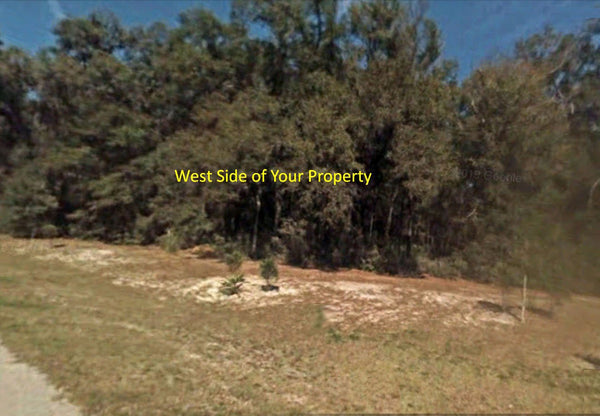 Great Investment! 111.13 Acre PUD zoned lot with direct access to State Road 200