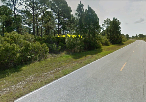 Exclusive .23 Acre lot on Paved Road close to Myakka River