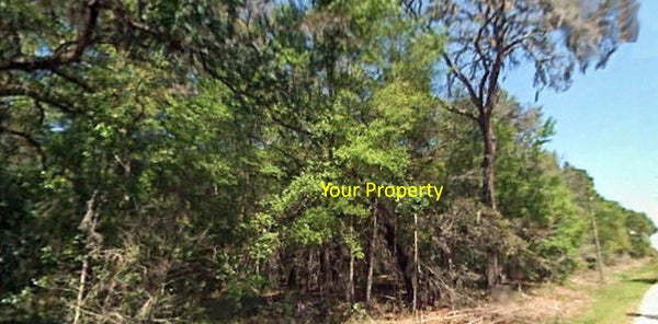Exclusive .23 Acre Property in Lake and Fishing Community in Interlachen