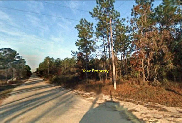 .96 acre lot Close To HWY 41 at Classic Hills-Minutes to Rainbow River