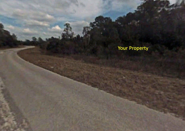 Waterfront .28 acre lot on Paved Road in Silver Springs Shores