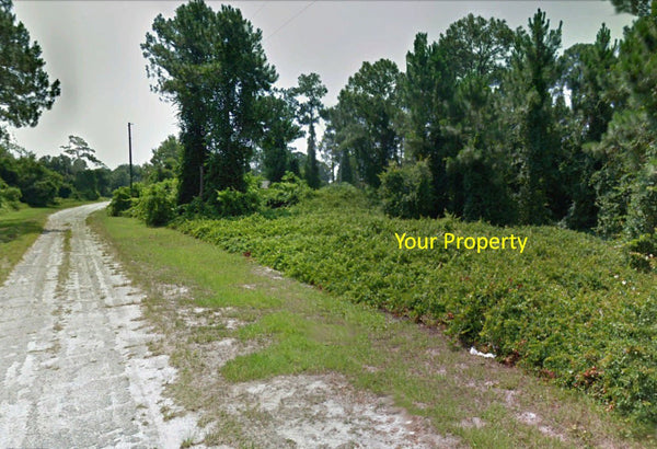 Majestic .23 Acre Partially Cleared Lot Near Lake Placid - Owner Finance