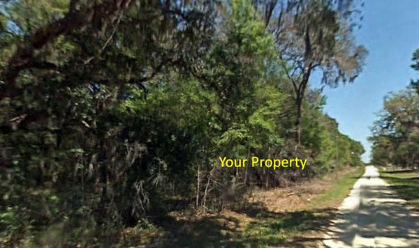 .95 Acre Lot in Silver Springs Acres - Owner Finance