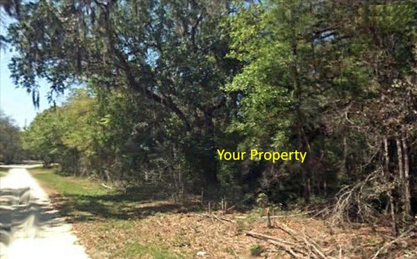 .95 Acre Lot in Silver Springs Acres - Owner Finance