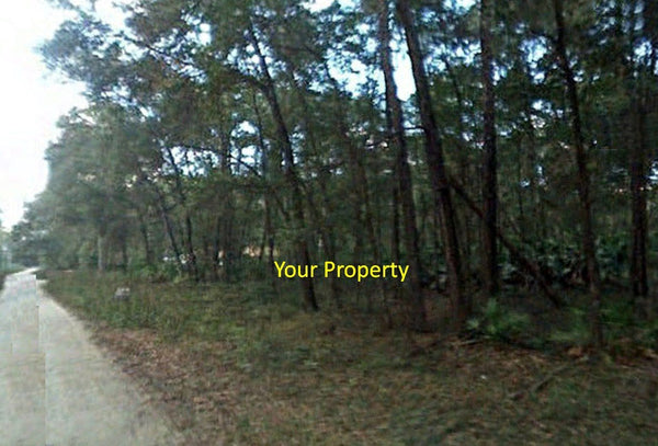 Calling All Investors! .29 Acre Lot in Belleview Heights Estates