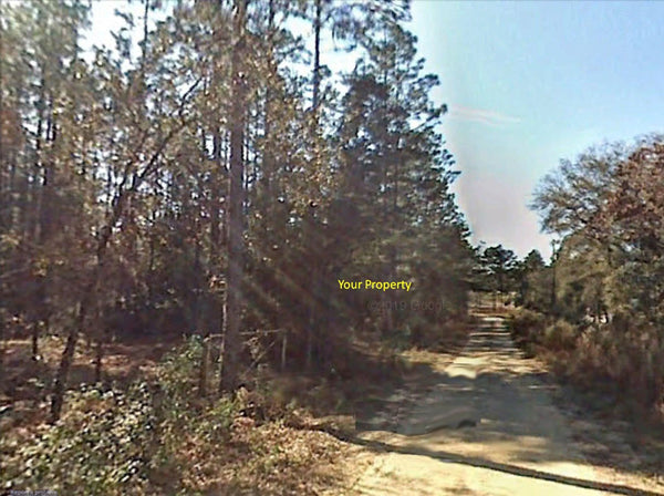 .92 acre lot Close To HWY40 and 41-Minutes to Rainbow Springs State Park