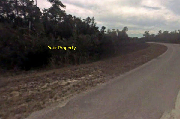 Waterfront .28 acre lot on Paved Road in Silver Springs Shores