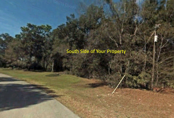 Great Investment! 111.13 Acre PUD zoned lot with direct access to State Road 200